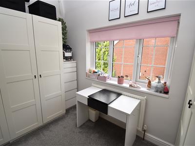 Picture 29